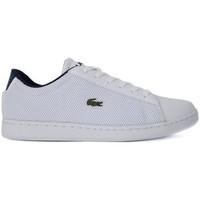 tommy hilfiger lacoste carnaby evo womens shoes trainers in white