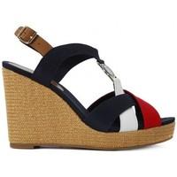 Tommy Hilfiger ELENA 020 women\'s Sandals in multicolour