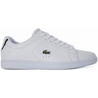 tommy hilfiger lacoste carnaby evo womens shoes trainers in white