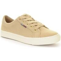 Tommy Hilfiger L1385UCIANA 2E women\'s Shoes (Trainers) in BEIGE