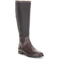 tommy hilfiger levin 17c womens high boots in brown