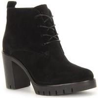 tommy hilfiger p1285aola 2b womens low ankle boots in black