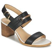 Tommy Hilfiger JOSEPHINE 2A women\'s Sandals in black