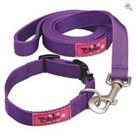 tottie dog collar and lead set size l colour purple