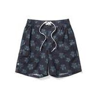 Tog24 Cove Mens Swimshorts Dc