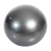 Togu MyBall Actisan 65 cm