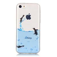 TPU Material IMD Technology Penguin Pattern Painted Relief Phone Case for iPhone 6s Plus / 6 Plus/SE / 5s / 5/5C