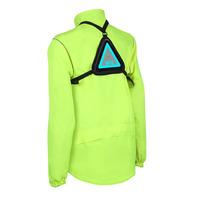 Triviz Lighting System Harness