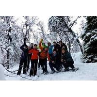 tromso winter adventure snowshoeing tobogganing and cross country skii ...