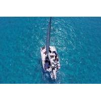 Trimaran Sightseeing Cruise in C...