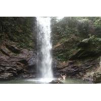 Trinidad Rainforest Hike to Waterfall