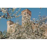 Train and Bike Day Tour from Bologna: Vineyards and Fortresses