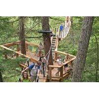 Treetop Canopy Walk in Whistler