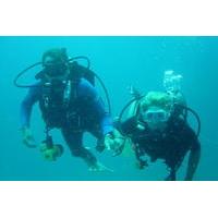 Try Diving in the beautiful Andaman Sea