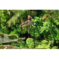 Treetop Climbing in Manaus