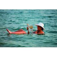 Transportation to the Dead Sea