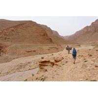 Trekking and Cultural Tour from Tinghir