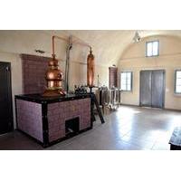 Traditional Taste of Santorini P...