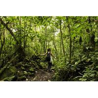 Transport and Entrance to Chicaq...