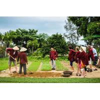 Tra Que Vegetable Village Bicycle Tour from Hoi An