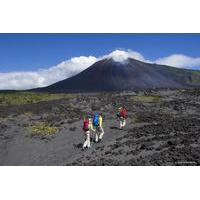Transportation to Pacaya Volcano from Antigua