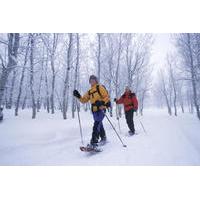 Tromso Snowshoe Hike