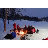 Tromso Winter Adventures - Tobogganing, Snowshoeing and Winter Games