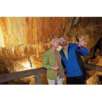 Tram and Cave Tours at Glenwood Caverns Adventure Park