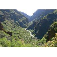 Trekking Tour Canyon of Guayadeque in Gran Canaria