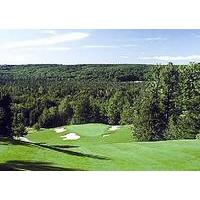 Treetops Resort