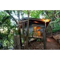 Treetops Seaview Montville