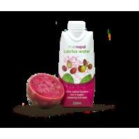 True Nopal Cactus Water 330ml