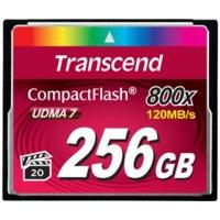 Transcend CompactFlash 256GB 800X (TS256GCF800)