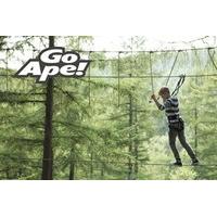 Tree Top Junior Adventure for One at Go Ape