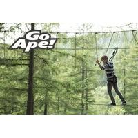 Tree Top Adventure for One Child at Go Ape