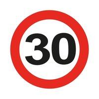 Traffic Sign 30th Party Badge LED Flash