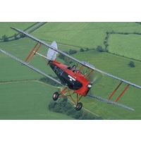 try a tiger moth