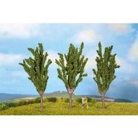 Tree set Poplars Height (min.): 55 mm Max. height: 55 mm NOCH 25525 Green 3 pc(s)