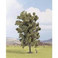 Tree Basswood 190 mm NOCH 25880 1 pc(s)