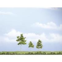 Tree set Birch Height (min.): 40 mm Max. height: 75 mm Woodland Scenics WTR1605 Medium green 3 pc(s)