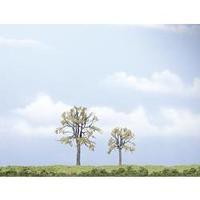 Tree set Elm trees Height (min.): 60 mm Max. height: 80 mm Woodland Scenics WTR1602 Light green 2 pc(s)