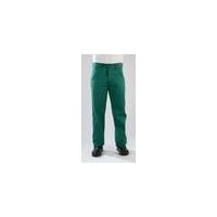 Trousers for Work and Leisure, green, various sizes elysee