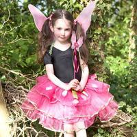 travis designs fairy set 3plus years