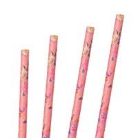 Truly Scrumptious Paper Party Straws