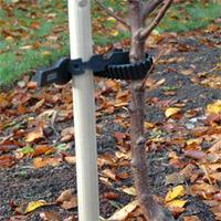 Tree Stake & Tie Pack - 1 Tree stake & Tie pack