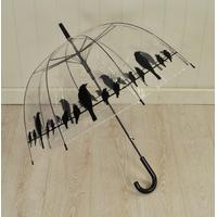 Transparent Umbrella with Birds Design by Fallen Fruits