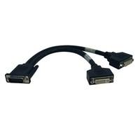 tripp lite p576 001 dms59 to 2 dvi i splitter cable 1 ft cables video  ...