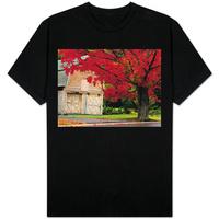 Tree with Red Leaves and Barn