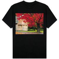 tree with red leaves and barn