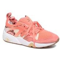 Trinomic Blaze Of Glory X Careaux